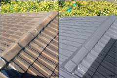 Roof-Paint