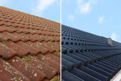 roof-coating-before-after