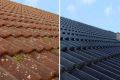 roof-painting